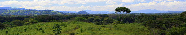 Finca Buenavista